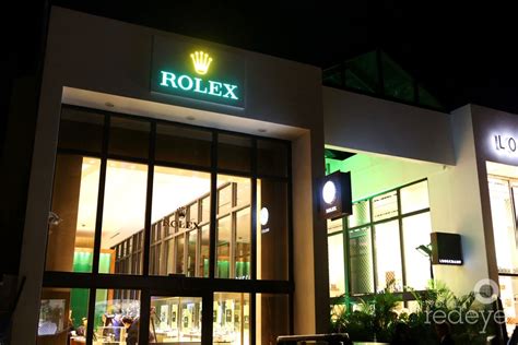 rolex shop miami